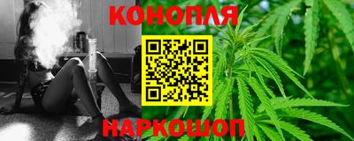 прущие грибы Гудермес