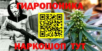 стафф Гуково