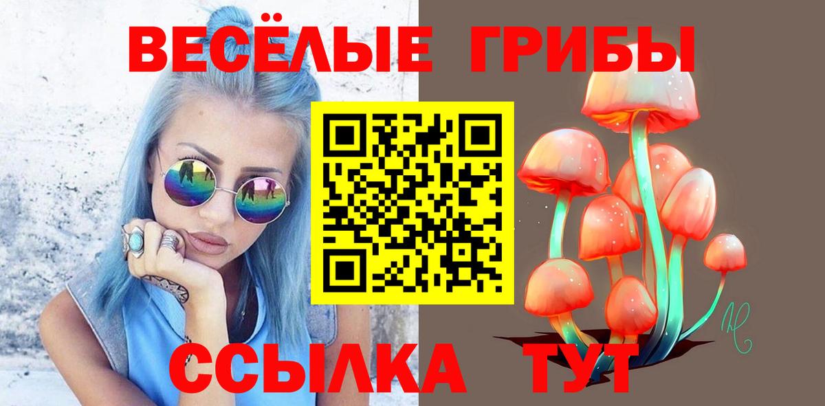 Псилоцибиновые грибы мухоморы Астрахань