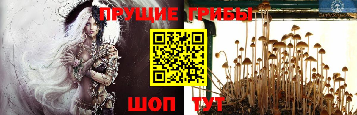 Астрахань  Псилоцибиновые грибы Psilocybe  Вход с VPN  Галлюциногенные грибы MAGIC MUSHROOMS 